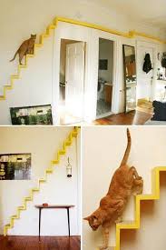 Some cats prefer to be down lower, around table height. 68 Catwalk And Enclosure Ideas Cat Diy Cat Room Cat Enclosure