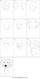 We did not find results for: How To Draw A Labrador Face Printable Step By Step Drawing Sheet Drawingtutorials101 Com Dog Drawing Tutorial Animal Drawings Drawing Sheet
