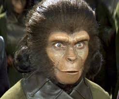 Ian Bell's Brown Derby Series