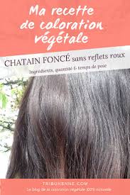 Ma Recette De Coloration 100 Naturelle Pour Les Cheveux Chatains Clairs A Bruns Coloration Naturelle Cheveux Coloration Vegetale Cheveux Blancs Henne Cheveux