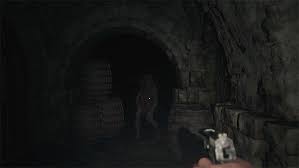 Resident evil 8 is using the re engine game engine. Resident Evil Village Capcom