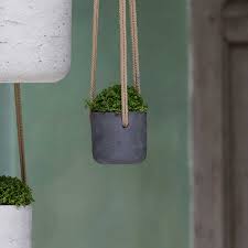 Display your trailing plants with pride with our cheap hanging baskets and hanging plant pots from b&m stores. Indoor Hanging Plant Pots Quality Indoor Plant Pots Hortology