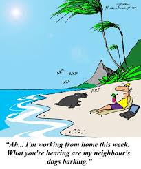 The Telecommuting Business Analyst 1 Business Analyst Community Resources Business Analyst Workplace Humor Business Motivational Quotes