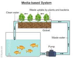 Buying Aquaponics Systems Which Is Right For You Backyard Aquaponics Aquaponics Aquaponics System
