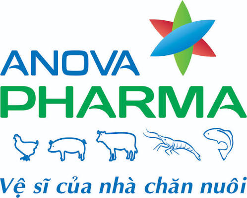 Công ty thành viên - Anova JV