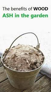 Alternative Gardning The Benefits Of Wood Ash In The Garden Garden Compost Ash Wood Gardening Tips