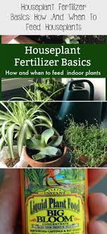 Fertilizing Houseplants Is Essential If You Want To Grow Happy Healthy Indoor Plants These Houseplant F In 2020 Organic Plant Fertilizer Organic Plants House Plants