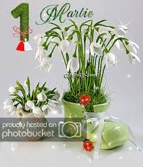Felicitari 8 martie 8 martie cu flori gifuri. Good Luck Happy Day Gif By Conp3 Photobucket Happy Day Gif Happy Day Christmas Decorations