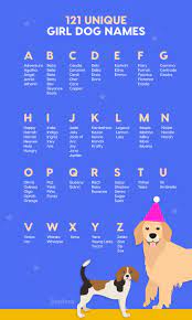 Get most popular list of black, cute, hunting, indian names. 101 Unique Girl Dog Names You Ll Love Updated For 2021 Girl Dog Names Girl Dog Names Unique Female Dog Names