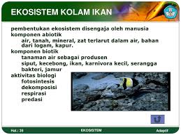 Komponen Biotik Yang Membentuk Ekosistem Kolam Seputar Bentuk