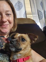 Stella (Vizsla) and Bailey (GSP) want to say hello!