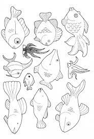 Alaska has 8 different whitefish! Pin On Stempels