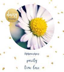 Check spelling or type a new query. Daisy Meaning And Symbolism Ftd Com