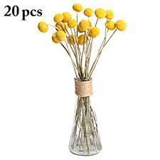 How To Watercolor Craspedia Google Search Faux Flowers Flower Arrangements Diy Faux Flowers Diy