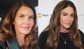 Janice Dickinson parece a Caitlyn Jenner hoje em dia. : r/ANTM
