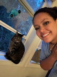 Lost CATS of Snohomish County