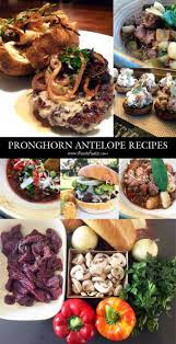 7 Best Pronghorn Antelope Recipes Wild Game Cuisine Nevadafoodies Antelope Recipes Venison Recipes Game Food