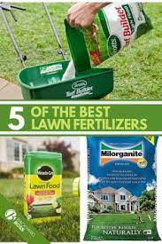 5 Of The Best Lawn Fertilizers Lawn Fertilizers Lawn Fertilizer Lawn Fertilizer Schedule