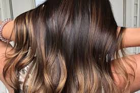 41 Brown Balayage Hair Colors For Sun-Kissed Dark Hair