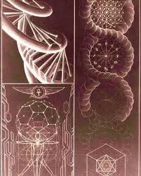 la geometría está en todas partes