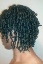 Dawnyele Natural Beauty Journey Small Two Strand Twists Mini Twists Natural Hair Natural Hair Twists Hair Styles