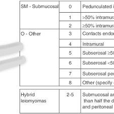 uterine fibroid subclassification within the figo abnormal