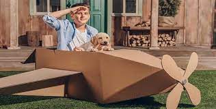 Safe, secure, pet relocation with vet & nurse team & 20 years experience. Pet Courier Service We Fly With Your Pets Pets2fly