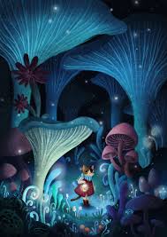 Mushrooms fantasy forest illustrations & vectors. Mushroom Forest On Behance