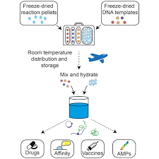 Dna contains the instructions for making what other biomolecule? Portable On Demand Biomolecular Manufacturing Cell