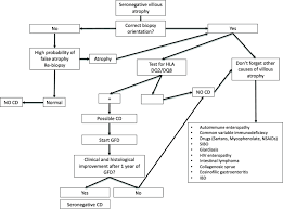 Auricchio r., tosco a., piccolo e., galatola m., et al. Celiac Disease A Comprehensive Current Review Bmc Medicine Full Text