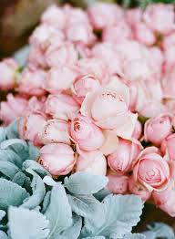Check spelling or type a new query. Flower Arranging Tips Floral Pop Up Shop Beautiful Blooms Flowers Flower Arrangements