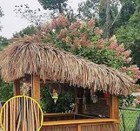 Amazon.com: Pealihuy Palm Thatch Rolls Mexican Straw Roof ...