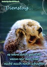 Schönen dienstag guten morgen 129. Dienstag Facebook Gb Bilder Whatsapp Bilder Gb Pics Jappy Gastebuchbilder