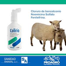 Other new elements are related to extending the legal possibility for measures for the prevention and control of emerging and listed diseases and health measures in wild animals. Sanidad Animal S R L Sanidad Animal Twitter