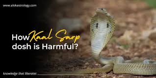 Karkotak Kaal Sarp Dosh Effects, Benefits, Duration & Remedies