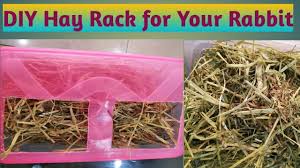 As our rabbit showed us, there is no one hay rack that will meet the needs of every rabbit. Diy Hay Rack For Rabbits Easy Rabbit Feeder