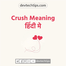 Crush Meaning In Hindi Crush Meaning Meant To Be Crushes