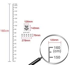 Home Decor 1 6 Meter Height Measure Chart Acrylic Removable