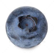 Blueberry In Close Up Isolated On A White Background Close Up Art Close Up Photography Fruit Painting