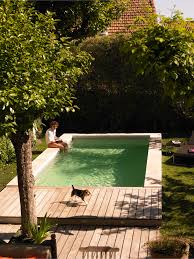 these plunge pools are all the inspiration you need to create your personal oasis piscine amenagement paysager petite piscine piscine et jardin