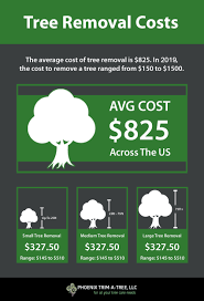 Tree removal cost typical cost to remove a tree in atlanta is about $540 (medium tree removal, between 19 and 24 inches in diameter, including the stump). Phoenix Tree Removal Cost Phoenix Trim A Tree Llc