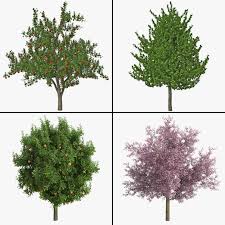 Fruit Tree Collection 3d Model Ad Tree Fruit Model Collection Fruit Trees Fruit Tree