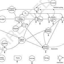 Pdf Estuarine Ecology