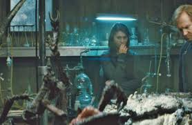 Funny joke from a beautiful woman. The Thing 2011 Film Cinema De