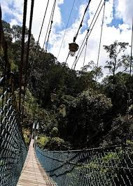 This small country in southeast asia is considered as one of the richest in the world. How To Find A Job In Brunei As A Foreigner Visa Hunter