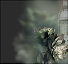 Sermons — Oasis Christian Fellowship