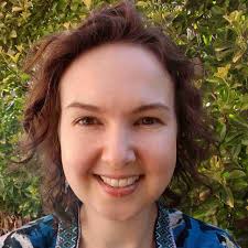 Using online news comments to gather fast feedback