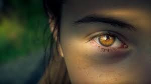 Free Image On Pixabay Eye Iris Pupil View Focus Gozler Saglik Doktorlar