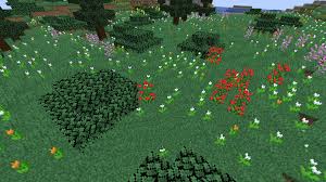 Flower Meadow Biomes O Plenty Wiki Fandom You have to do things like remember another person's exact birthday and blue orchids are the most particular flowers in minecraft, as you can only find them in swamp biomes. flower meadow biomes o plenty wiki