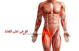 الم في اعلى الفخذ الايمن من الداخل ومن الامام وكسر الورك تعرف على أسباب الشعور بالم شديد في الارجل وما هي الاعراض التي تظهر علي Egypt Travel Wonder Woman Women